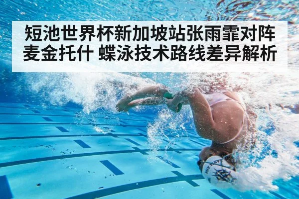 短池世界杯新加坡站张雨霏对阵麦金托什 蝶泳技术路线差异解析